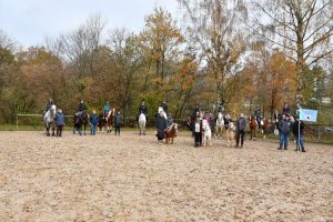 Oplus_131072